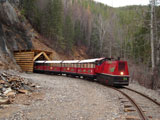 Train Tours